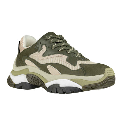 ASH SNEAKER ADDICT MILITARY/CIPRIA